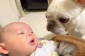 赤ちゃんと初めて顔…の画像