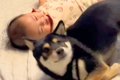 洗い物をしていたら…の画像
