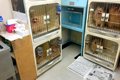 ７年半もの間『外に…の画像
