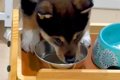 生後69日の赤ちゃん…の画像