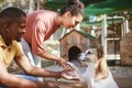 犬の『里親詐欺』と…の画像