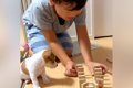 男の子がドミノで遊…の画像