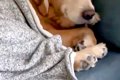 ママが帰ってくると…の画像