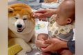 赤ちゃんがパパと一…の画像