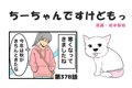 ちーちゃんですけど…の画像