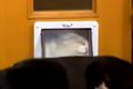 猫が『小さなドア』…の画像