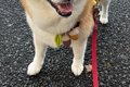 お友だちに『おやつ…の画像