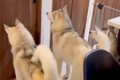 夫が『4日間の出張』…の画像