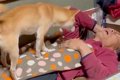 年越しの瞬間、寝て…の画像