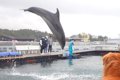 生まれて初めて『イ…の画像