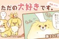 ただの犬好きです。…の画像