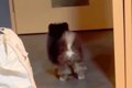 生後3ヶ月の赤ちゃん…の画像