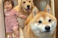 『お出かけできる』…の画像