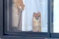なんとなく『窓から…の画像