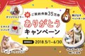 【残り5日！】　ペッ…の画像