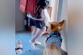 新学期で女の子がラ…の画像