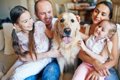 初めて犬を飼った人…の画像