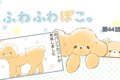 ふわふわぽこ。【第4…の画像