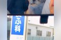 車で動物病院にやっ…の画像