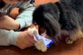スマホをいじってい…の画像