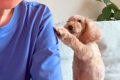 おててでママの腕を…の画像
