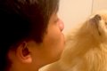 おしっこ失敗した犬…の画像