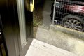 『100分間のお散歩』…の画像