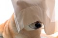 『静かに笑わせてく…の画像