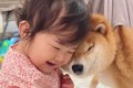 『大嫌いな爪切り』…の画像