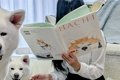絵本を読む女の子を…の画像