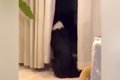 『帰ってこないよ…』…の画像