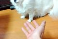 おやつが無い状態で…の画像