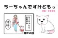 ちーちゃんですけど…の画像