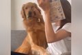 ソファで本を読もう…の画像