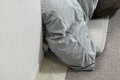犬にバレないように…の画像