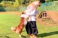 『だめー！』犬の飼…の画像