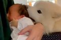 赤ちゃんに困惑して…の画像
