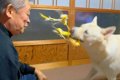 『犬がおじいちゃん…の画像