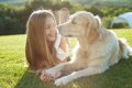 犬が飼い主に『あり…の画像