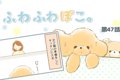 ふわふわぽこ。【第4…の画像