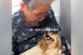 おばあちゃんと犬の…の画像