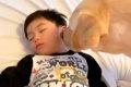 お昼寝中の小さい男…の画像