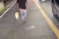 夜、道路で走る『迷…の画像