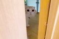 ドアの向こうから『…の画像