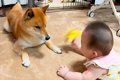 突然家にやってきた…の画像