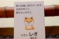 『犬がいます。呼ぶ…の画像