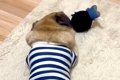 『仕事するから、お…の画像