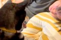 寝ようと転がってい…の画像
