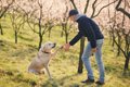 犬は飼い主がついた…の画像