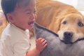 高熱が出てぐずって…の画像